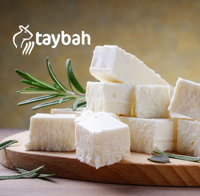 Fresh Cheese Tayba Factory