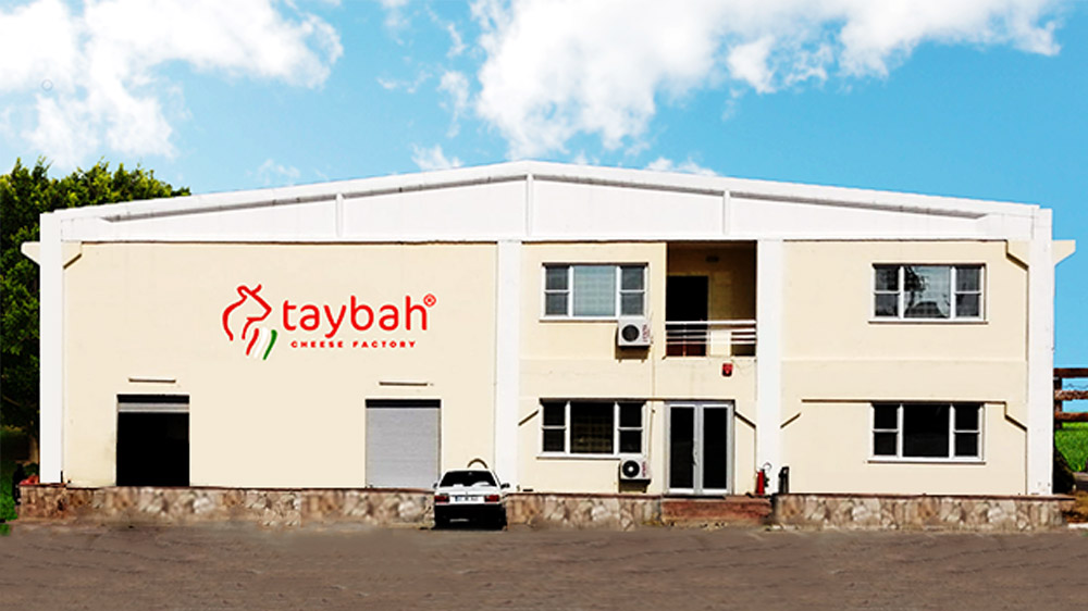About Taybah Cheese Factory
